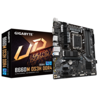 Gigabyte B660M DS3H DDR4 1.0 Motherboard