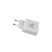 AstaWolf LEAF Charging Adapter