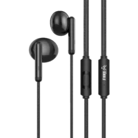 AstaWolf RHYTHM Earphone