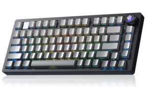 LEOBOG Hi75C Pro Keyboard (Reaper linear Switch)